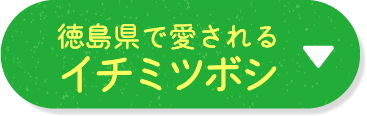 徳島県で愛されるイチミツボシ
