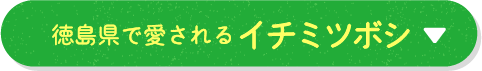 徳島県で愛されるイチミツボシ