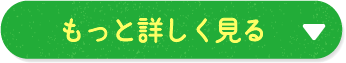 もっと詳しく見る