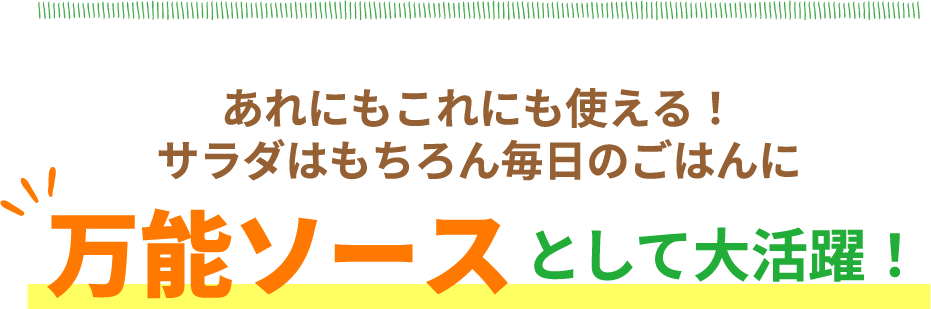 あれにもこれにも使える！サラダはもちろん毎日のごはんに　万能ソースとして大活躍！