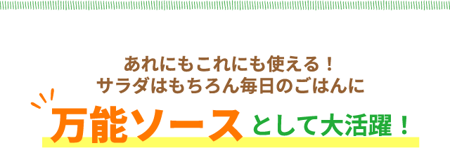 あれにもこれにも使える！サラダはもちろん毎日のごはんに　万能ソースとして大活躍！