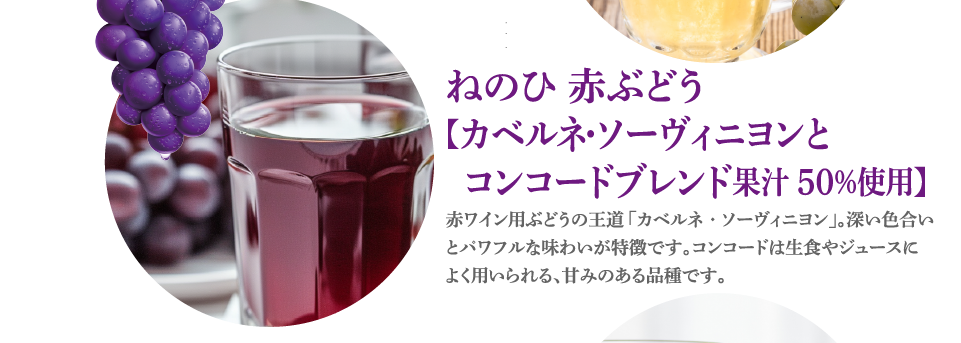 ねのひ 赤ぶどう【カベルネ・ソーヴィニヨンと  コンコードブレンド果汁50％使用】赤ワイン用ぶどうの王道「カベルネ・ソーヴィニヨン」。深い色合いとパワフルな味わいが特徴です。コンコードは生食やジュースによく用いられる、甘みのある品種です。