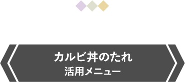 カルビ丼のたれ　活用メニュー